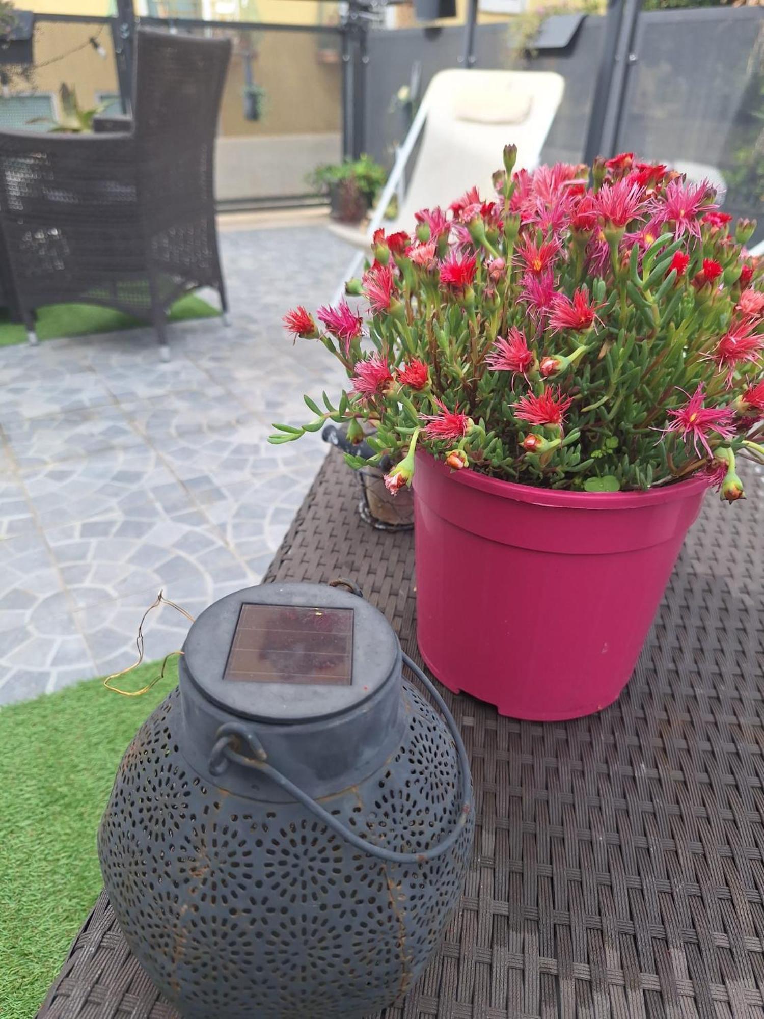 Appartement Vic Pigneto, Luxury House Terrace *
